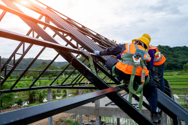 Roof Gutter Cleaning in Wintersville, OH